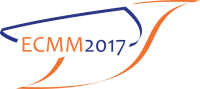 27 - 31 August 2017/ European Conference on Molecular Magnetism 2017